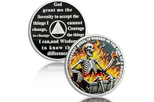 YRCKUDZKG Skeletons in The Fire 5 Year Sobriety Coin, Dumpster Fire AA Coin | Affirmation AA Chips and Medallion, Serenity Prayer Recovery Token, Inspirational Sobriety Gifts for Men & Women