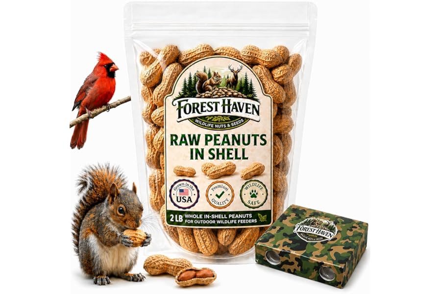 Forest Haven Premium Raw Peanuts for Squirrels – 2LB Bulk Squirrel Food – Unsalted Peanuts in Shell for Birds, Deer & Wildlife – Bonus Binoculars Included - USA Grown