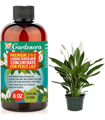 Amazon.com : Spider Plant Fertilizer Spray  Fast-Acting Mist for Greener  Leaves & Long Runners (16 oz) : Patio, Lawn & Garden