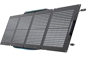 EF ECOFLOW 110W Portable Solar Panel, Foldable with Carry Case, High 23% Efficiency, IP68 Water & Dustproof Design for Camping, RVs, or Backyard Use
