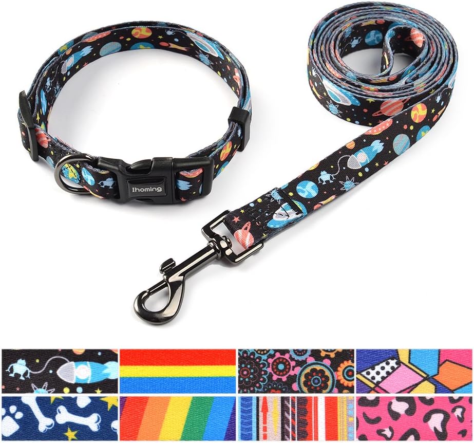 Collar and Leash Set