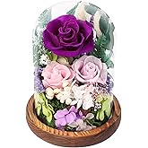 Gcchobv Preserved Flowers in Glass Dome, Forever Flower, Eternal Flowers, Birthday Gifts for Women, Gifts for Mom Girlfriend Her Friendship, Home Decor Living Room Bedroom (Mauve)