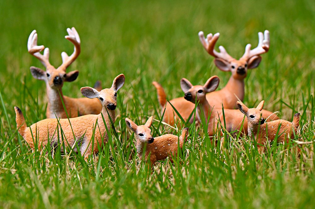 Miniature Deer Family Toy Figurines Set of 6 Figures, WhiteTailed 2
