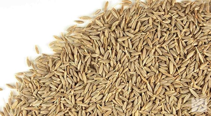 Being Marwari Whole Cumin Seeds (Jeera), 1.8kg: Amazon.in: Grocery ...