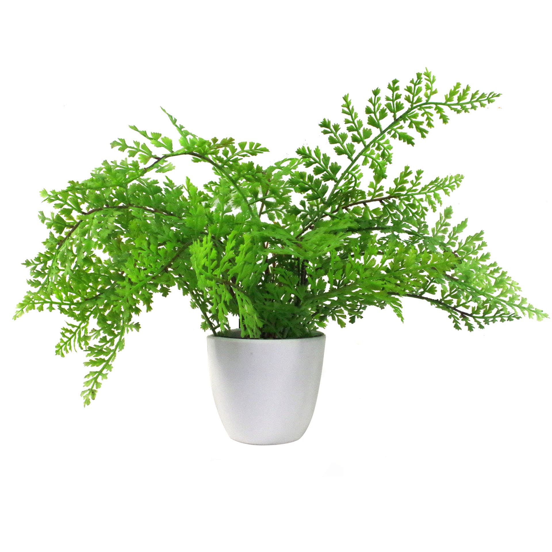 Leaf Design Realistic Artificial Fern Plant