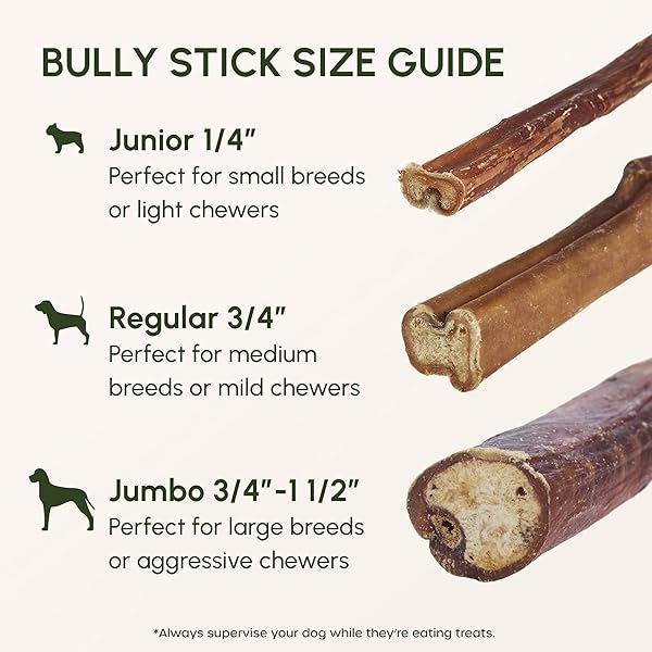 DOWNTOWN PET SUPPLY BULLY STICKS – 6″ REGULAR – 12 PACK -SOUTH AMERICA & TURKEY
