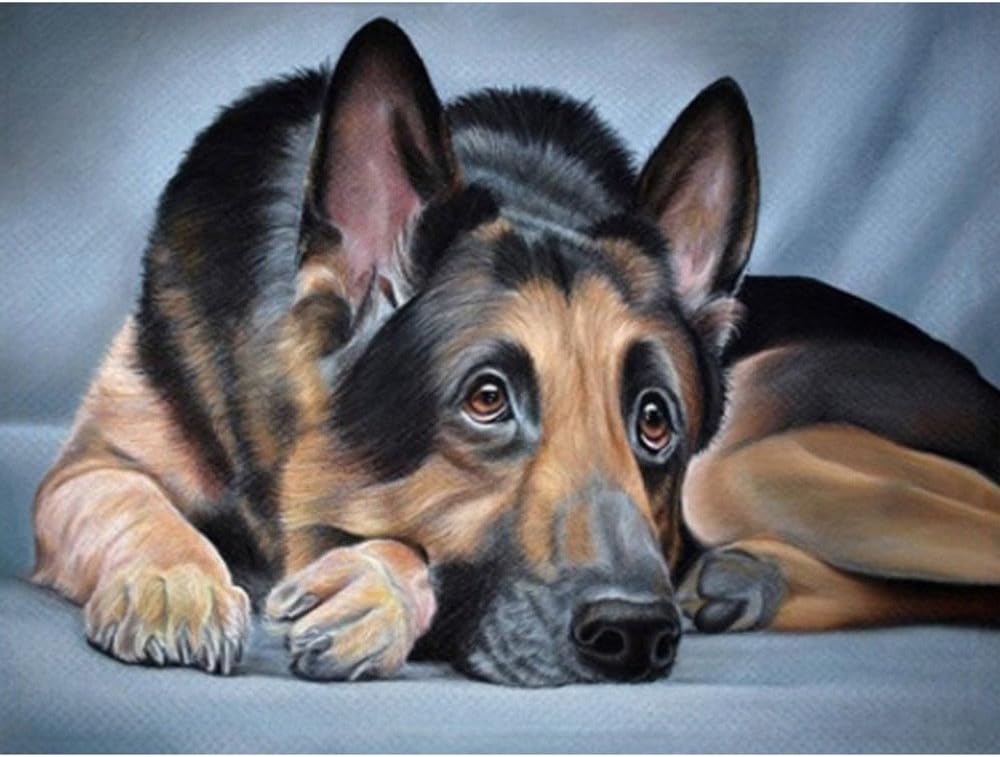 Animals DIY 5D Diamond Painting Kits, Aobuang Rhinestone Crystal Embroidery Pictures Cross Stitch for Home Wall Decoration,20x25cm (Lost Dog❤️)