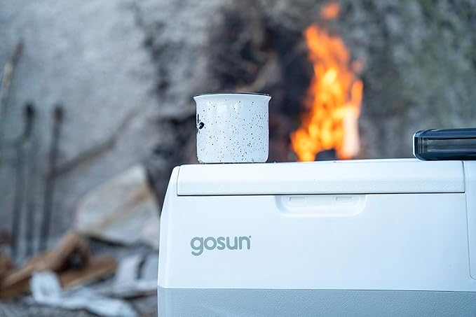 gosun chill review