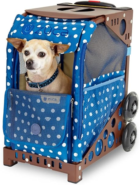 black and tan wirehaired dachshund