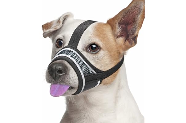 where to buy a muzzle