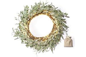 LampLust Winter Wreaths for Front Door Outside, 20 Inch Flocked Wreath with Mistletoe & Pearly White Berries, 75 LED Lights, Battery Powered, Timer, Farmhouse Wreath, Winter Wreaths for Indoors
