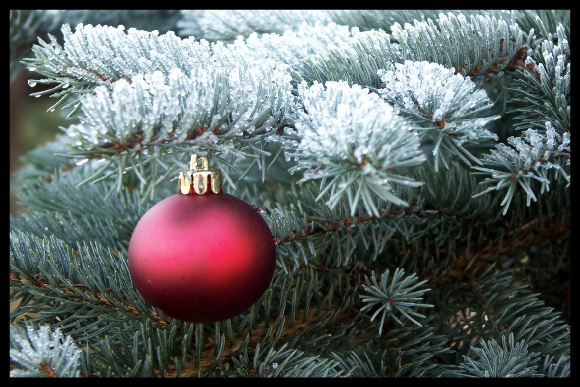 Digital Republic.Com 40023 Door Mat Polyamide PVC Plastic Phthalate-Free