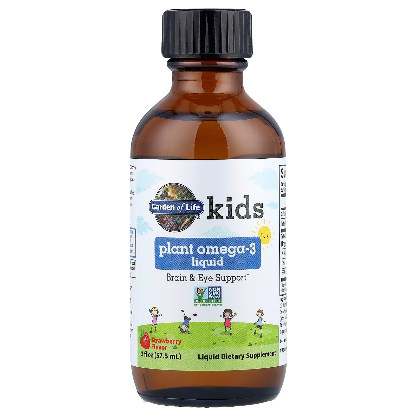 Garden of Life Kids Plant Omega-3 Liquid, Strawberry - Vegan Brain & Eye Support for Kids, Plant-Based Children's Omega 3 ALA, DHA & EPA Supplement for Children, Sugar Free & Non-GMO - 2 fl oz Liquid