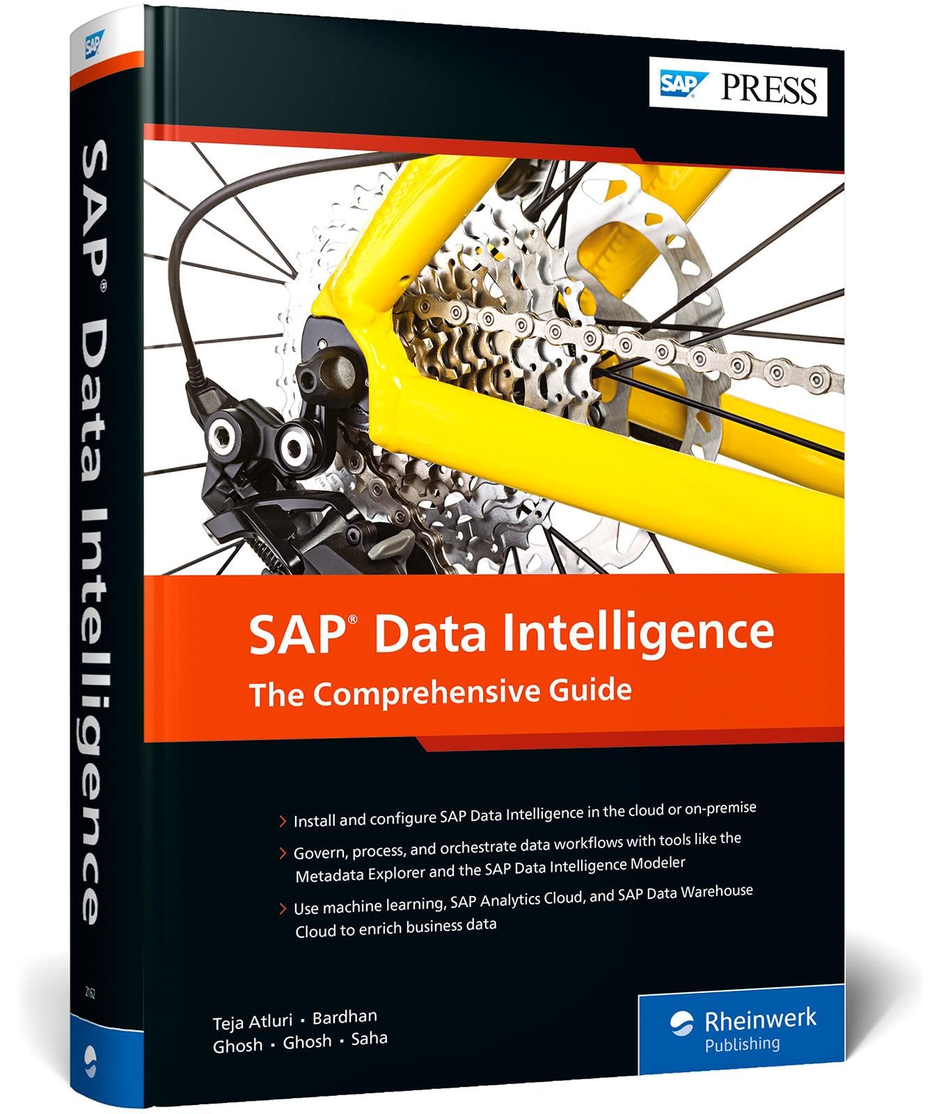 Mua Sap Data Intelligence: The Comprehensive Guide trên Amazon Nhật ...