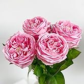YalzoneMet 3.5'' Big Bloom Rose Artificial Flowers Pink 4Pcs Real Touch Rose Faux 17.7 Inch Long Stem Austen Roses Peonies Fake Flowers for Home Kitchen Party Christmas Flower Wedding Decor