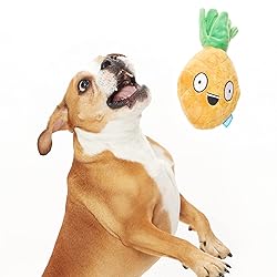 Barkbox 2 in 1 Interactive Plush Dog Toy - Rip and