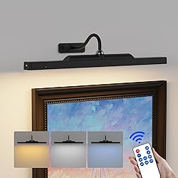 Dimmable Cordless Picture Light with Controller and