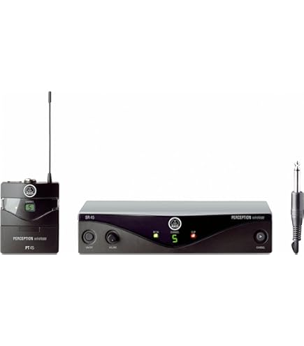 Amazon.com: AKG Pro Audio WMS40MINI Wireless Microphone System