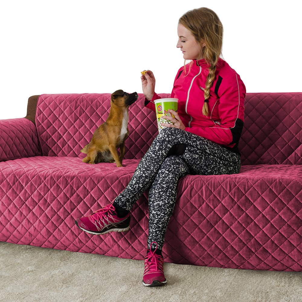 Best buddy guard home security