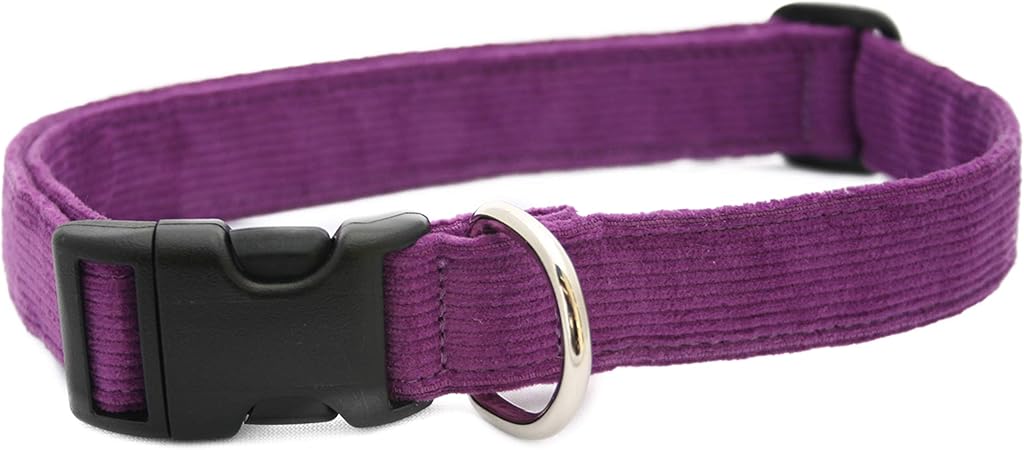 smart choice dog collar