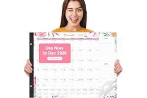 Gannyfer Desk Calendar 2026-18 Month Large Desk Calendar, Use Now to Dec 2026, 22" x 17" Desktop Pad Calendar, Office Supplies Perfect for Planning and Organizing In Your Home, School or Office