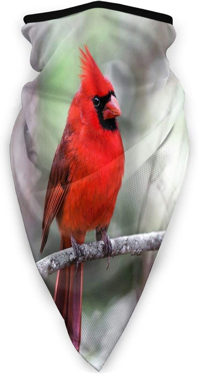 Beautiful Red Cardinal Bird Face Mask Bandana Balaclava Neck Gaiter
