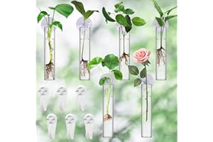 RGJ Propagation Stations, 6PCS Glass Cylinder Vase Wall Hanging Planter for Garden Office Decoration, Plant Lover Gifts