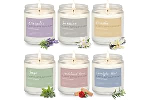 PELN Holiday Scented Candle Gift Set, 6 Pack Natural Soy Candles for Home, Long Lasting Christmas Gifts for Women, Men, Friends & Family, Winter Aromatherapy Candle Set for Relaxing & Home Décor