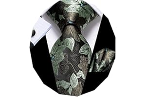 Dubulle Mens Tie Set Solid Paisley Silk Striped Necktie for Men with Cufflinks Tie and Pocket Square