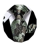 Dubulle Mens Tie Set Solid Paisley Silk Striped