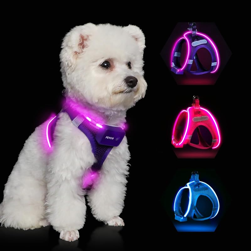 Pettorina luminosa per cani, ricaricabile a LED, pettorina luminosa