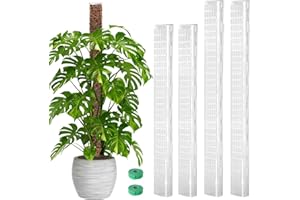 Bonviee 2 Pcs 24 Inch + 2 Pcs 36 Tall Plastic Moss Poles for Monstera – Large D-Shaped Climbing Plant Support, Works with Sphagnum Moss, Includes 2 Garden Ties