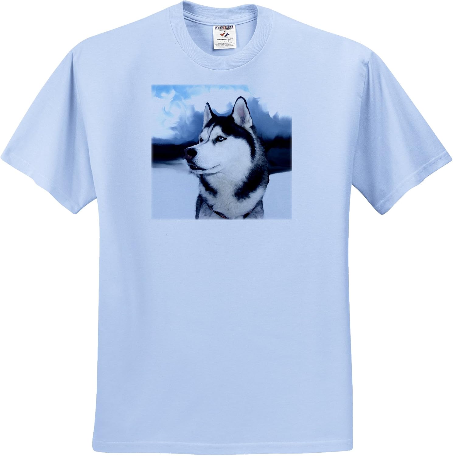 3dRose Dogs Siberian Husky Siberian Husky TShirts Youth LightBlueTShirt Large(1416