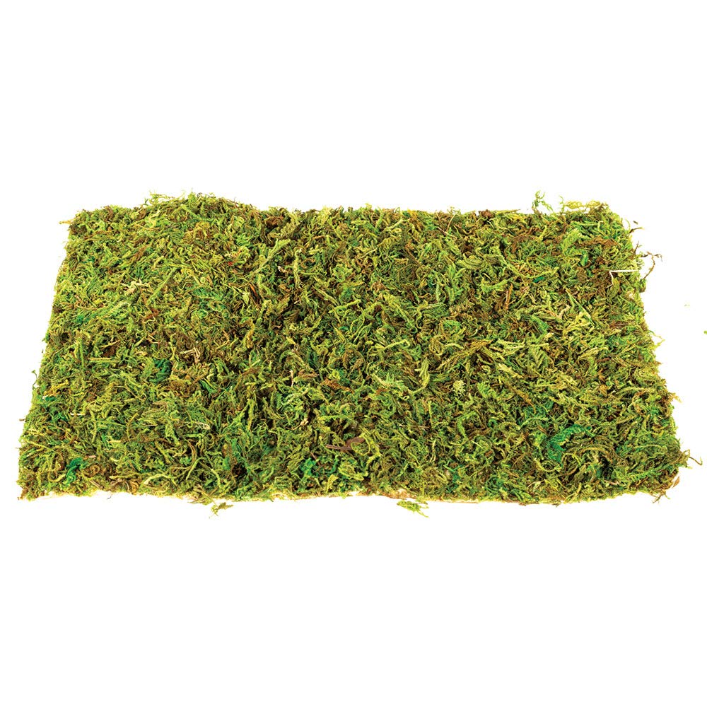 Komodo Natural Moss Mat for Reptile Cage Habitat Premium Natural Durable Long Lasting Moisture Control Large - Pack of 2