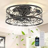 Garwarm Caged Ceiling Fan with Light,18in Rustic