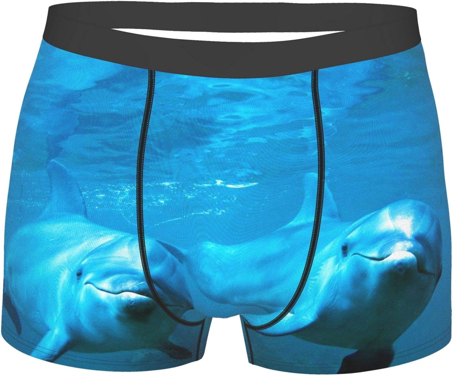 Animal Dolphin Custom Men's AllOver Print Boxer Briefs Underwear at