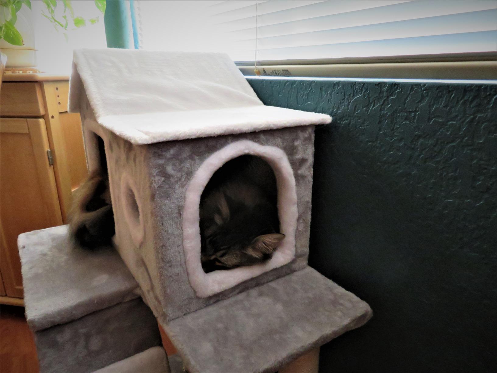 13/mo Finance COZ Cat Tree House with Ladder, Cat Tower Sisal Scratching Posts with Jump