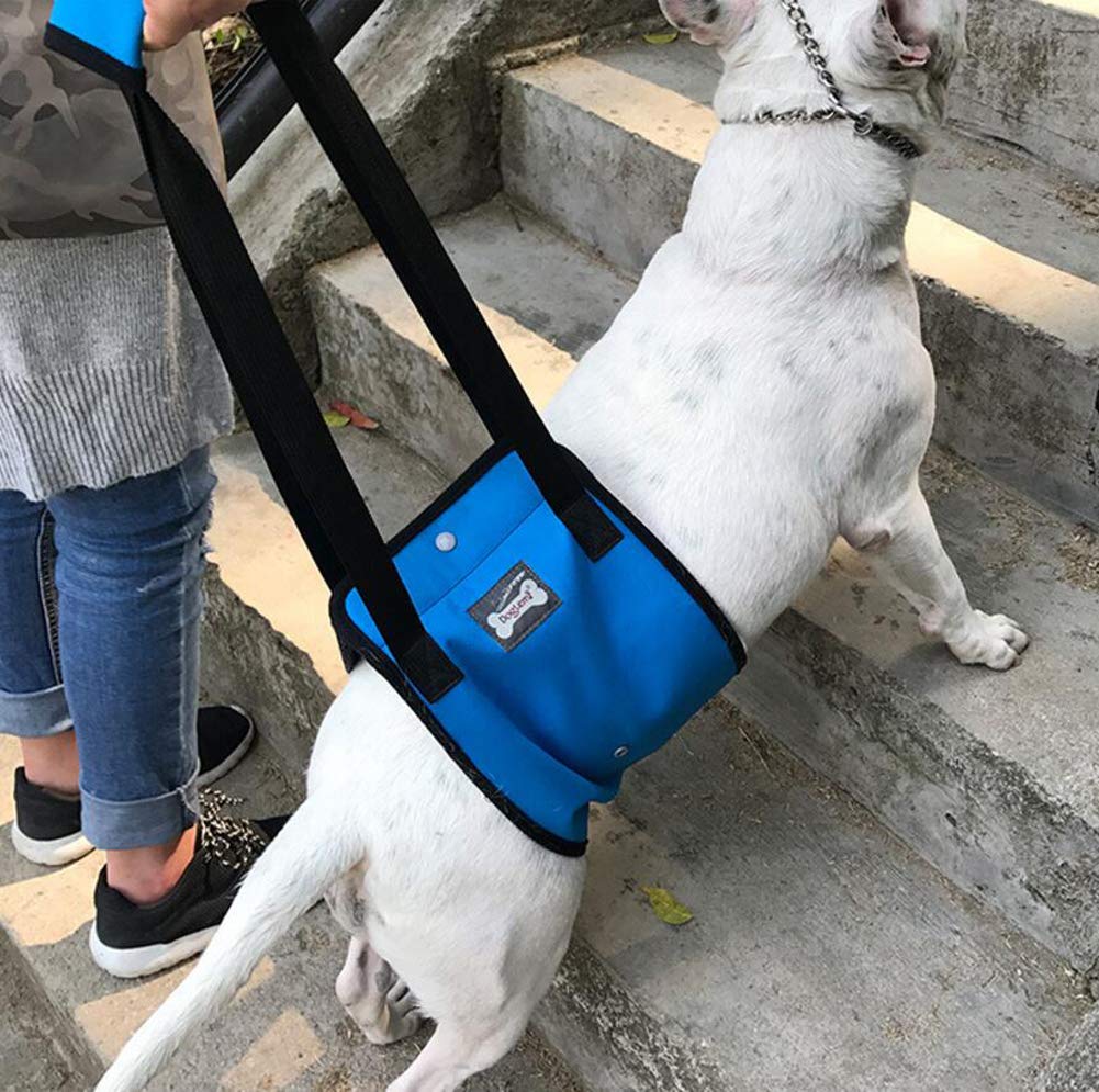 Diyafas Pet Dog Lift Support Rehabilitation Harness Canine Aid Assist Sling for Old Disable Injured Dogs