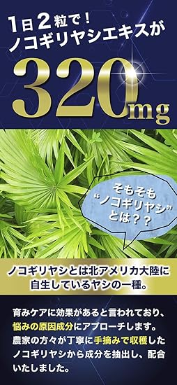 Amazon Regnos レグノス ノコギリヤシ9 600mg 厳選成分を贅沢配合 ケラチン 亜鉛 ヘアケアサプリ 頭皮 60粒30日分 リジン ヒハツ ビタミン 日本製 Regnos レグノス 育毛 養毛用トニック エッセンス 通販