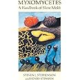 Myxomycetes