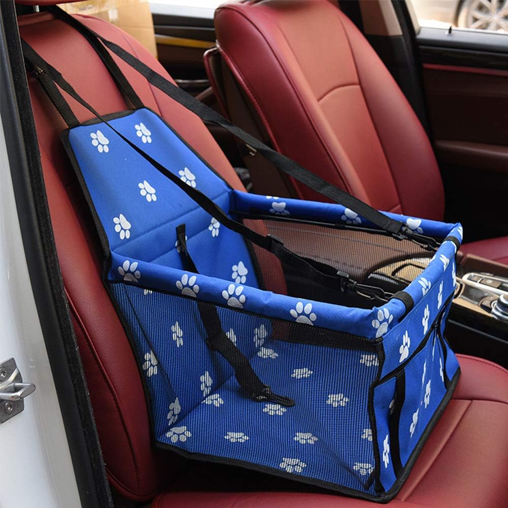 small dog car carrier