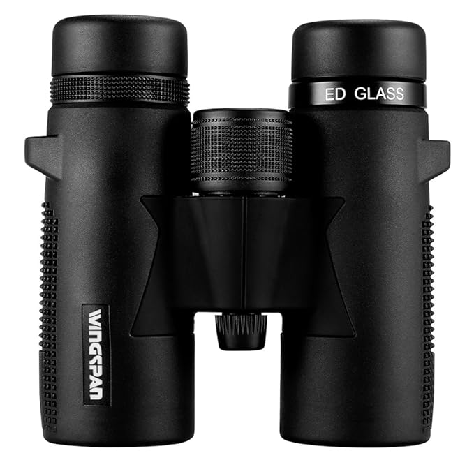 Wingspan Optics Willow UltraHD 8X32 Compact Binoculars for Bird