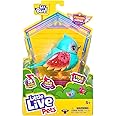 Little Live Pets Lil Bird Surfy Chirps