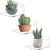 Trailwalk Acrylic Small Shelf,Mini Floating Wall Shelf,Wall Mounted Storage Shelf,for Pop Figures,Plant,Picture Photo Modern Wall for Office Bedroom Living Room,Clear (3 Pack)