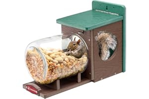 Kingsyard Recycled Plastic Squirrel Feeder for Outside, Squirrel Feeder Box with Peanuts Corn Storage Jar, Sturdy & Durable, Weatherproof (Green & Brown)