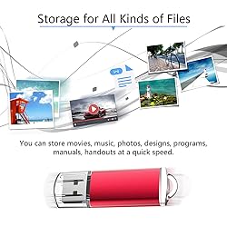 RAOYI 10PCS 8G USB Flash Drive USB 2.0 Memory Stick