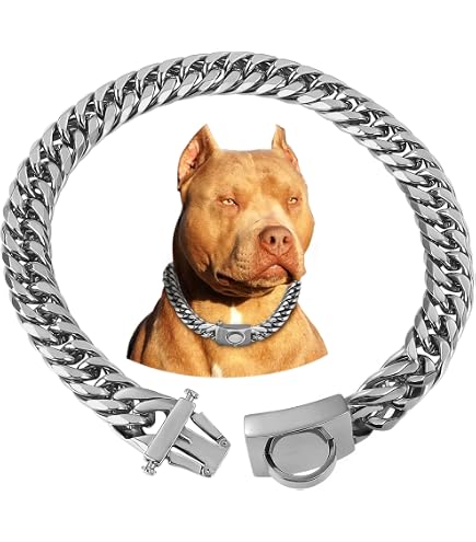 Amazon.com : BAOBOTE Gold Chain Dog Collar with Secure Snap Buckle