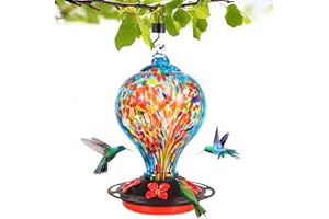 Qmioti Hummingbird Feeders, 32 Ounces Hand Blown Glass Bird Feeder for Outdoor Hanging, 5 Feeding Ports, Ant Moat Included, B