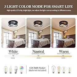 Jasopaco 2-Light Flush Mount Ceiling Light Fixtures