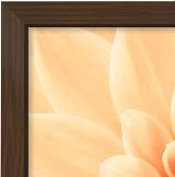 Americanflat A3 Walnut Picture Frame Engineered Wood with Shatter Glass view 7
